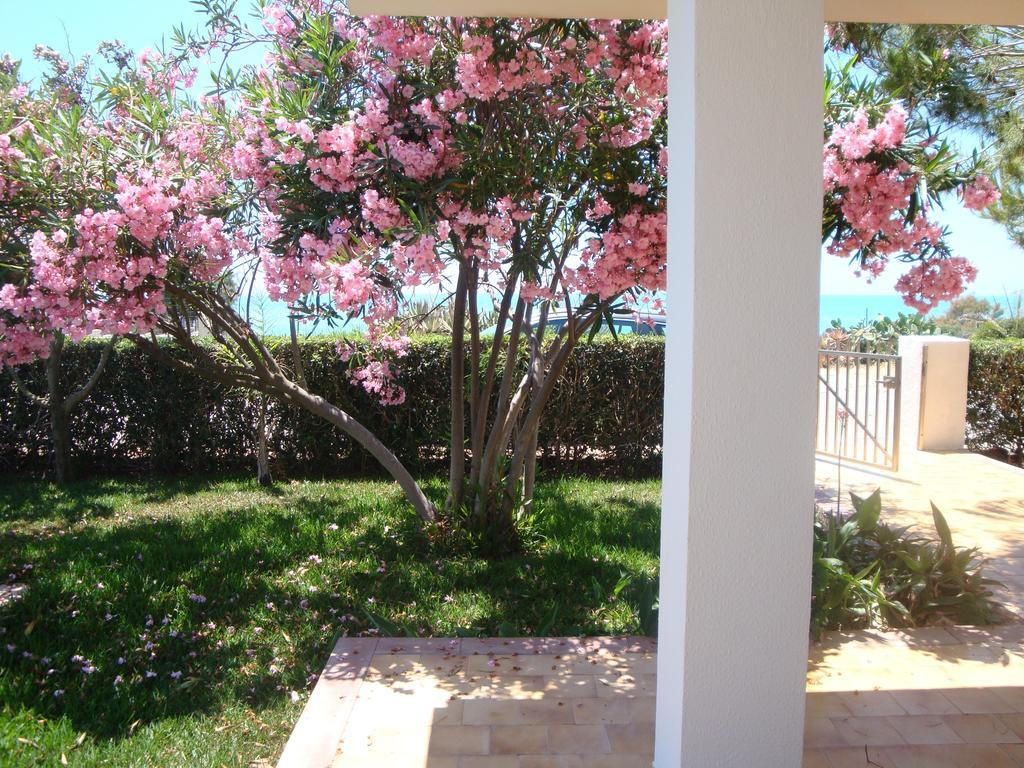 Cala Vigliena Il Sole Negli Occhi Villa Punta Braccetto Oda fotoğraf
