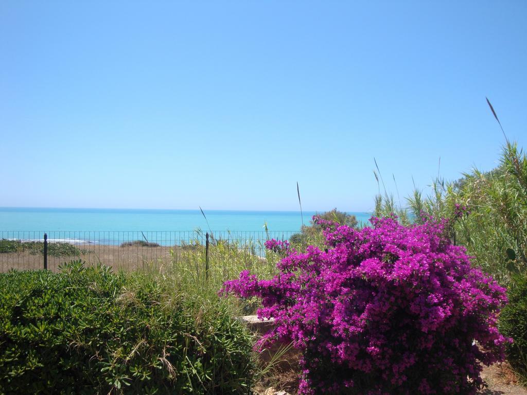 Cala Vigliena Il Sole Negli Occhi Villa Punta Braccetto Oda fotoğraf